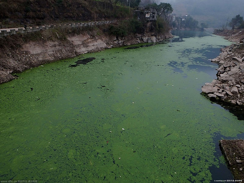 水質(zhì)檢測(cè)儀檢測(cè)水質(zhì)的健康狀況 水質(zhì)檢測(cè)儀檢測(cè)水質(zhì)的健康狀況