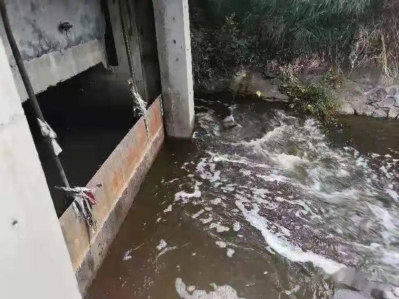 生物毒性檢測儀可以檢測什么？