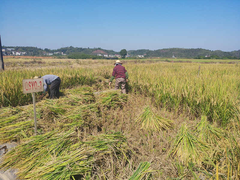 云唐土壤重金屬分析儀提升檢測(cè)效率 云唐土壤重金屬分析儀提升檢測(cè)效率
