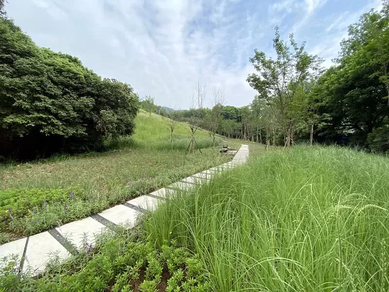 環(huán)境監(jiān)測站節(jié)省成本、提**率