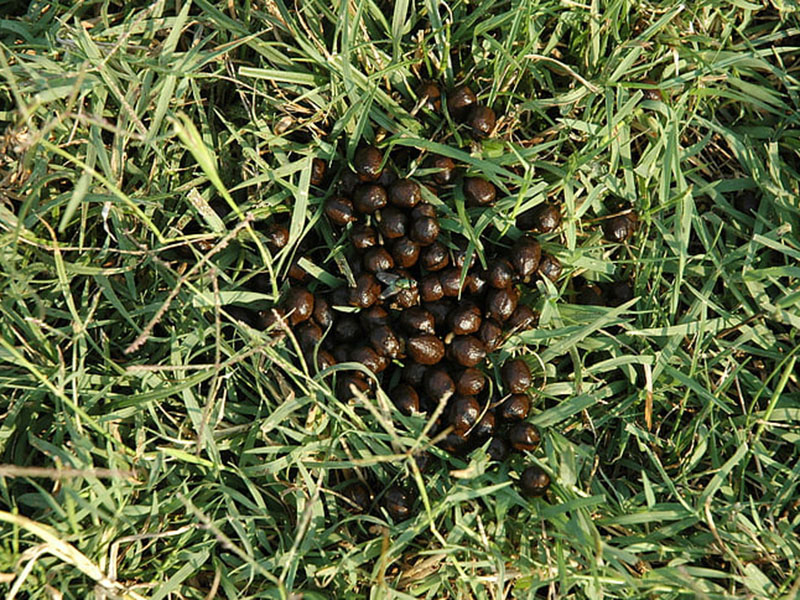 為什么要檢測肥料中的水分？