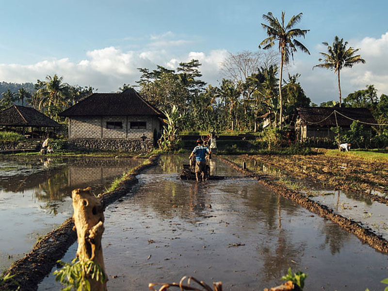土壤水分測(cè)定儀檢測(cè)土壤需水量