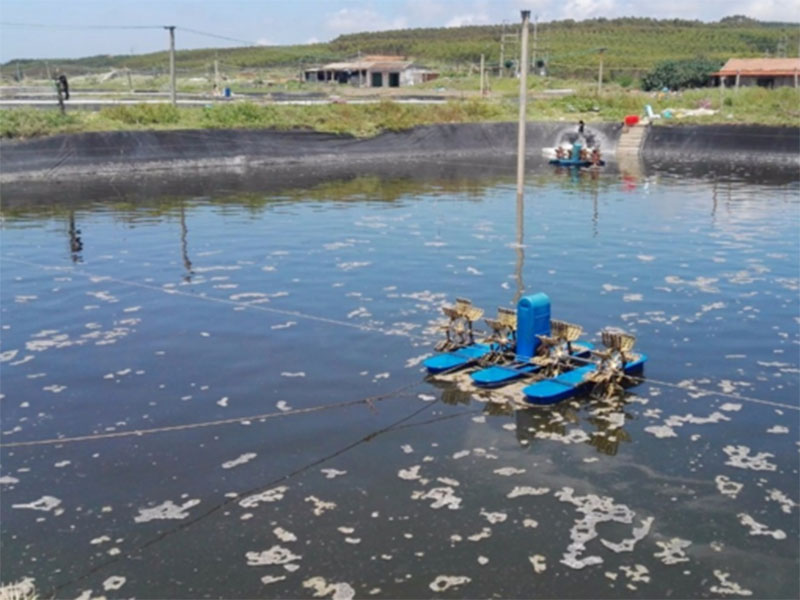 水中亞硝酸鹽含量過(guò)高對(duì)養(yǎng)殖有什么影響 水中亞硝酸鹽含量過(guò)高對(duì)養(yǎng)殖有什么影響