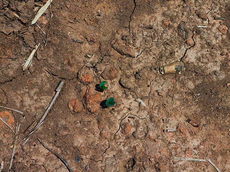 土壤肥料養(yǎng)分檢測(cè)儀可減少肥料引起的環(huán)境污染 土壤肥料養(yǎng)分檢測(cè)儀可減少肥料引起的環(huán)境污染