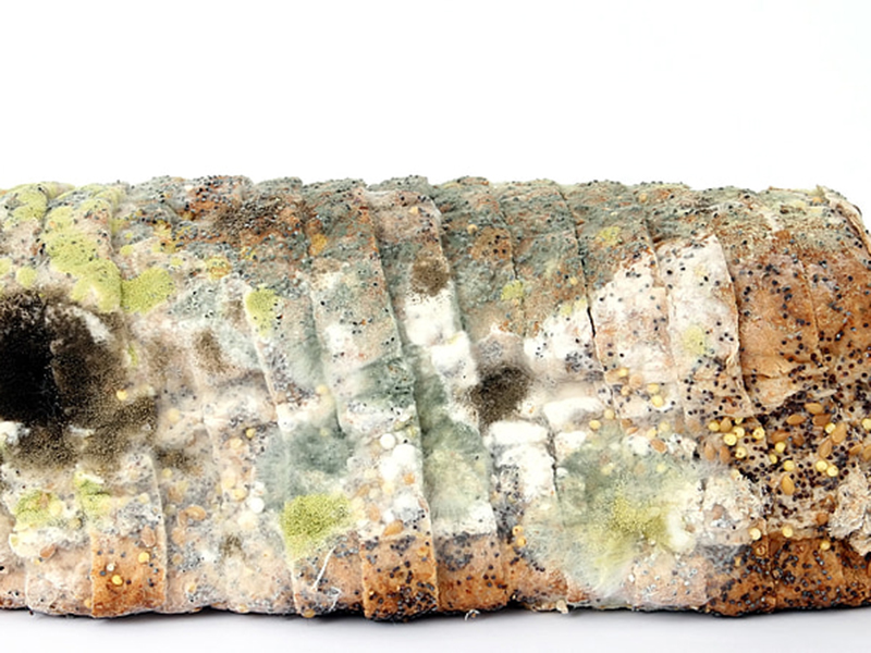 食品中的黃曲霉毒素要怎么去除？