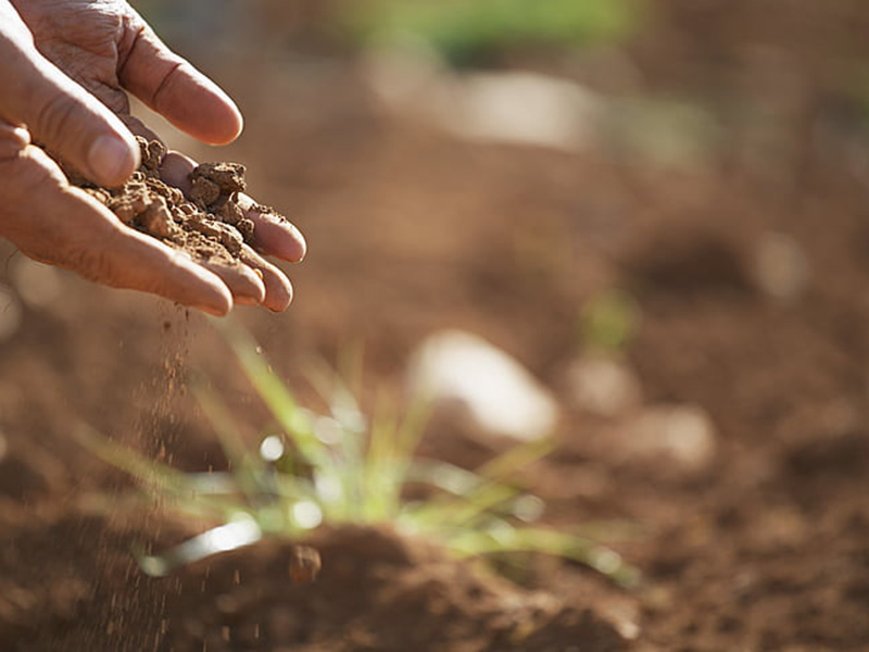 如何檢測(cè)土壤重金屬是否超標(biāo)？