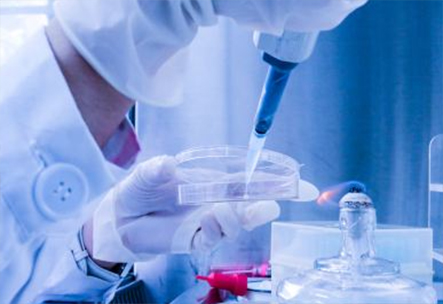 土壤檢測(cè)實(shí)驗(yàn)室建設(shè)方案