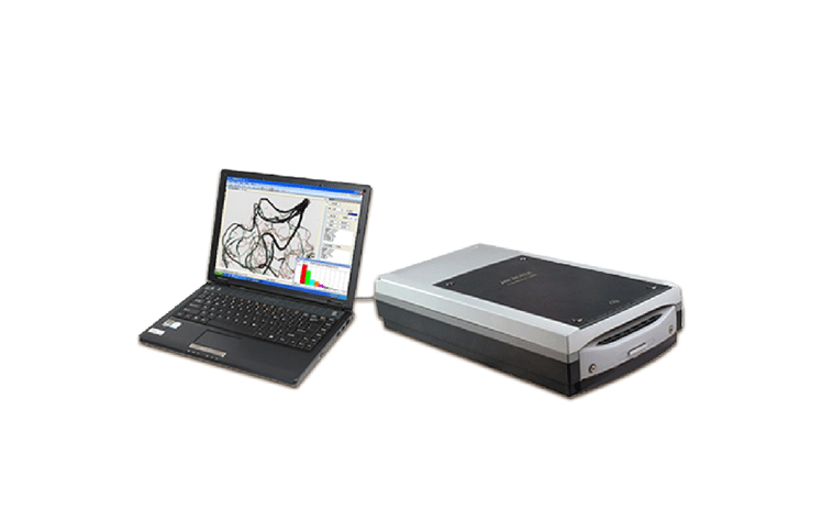 植物根系圖像分析儀，可用于根系構(gòu)造研究