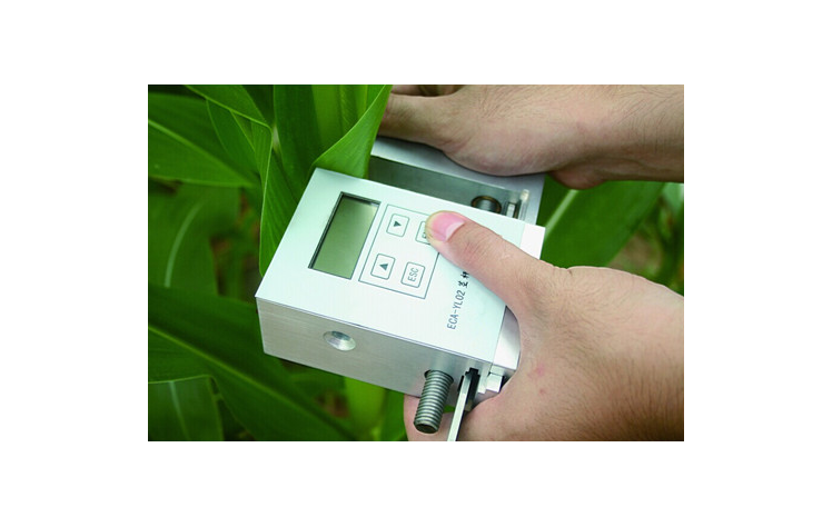 莖桿強(qiáng)度測定儀