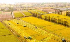 蔬菜農(nóng)藥殘留檢測儀怎么樣？