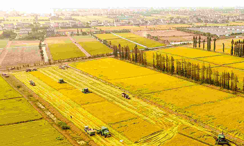 蔬菜農(nóng)藥殘留檢測儀 蔬菜農(nóng)藥殘留檢測儀