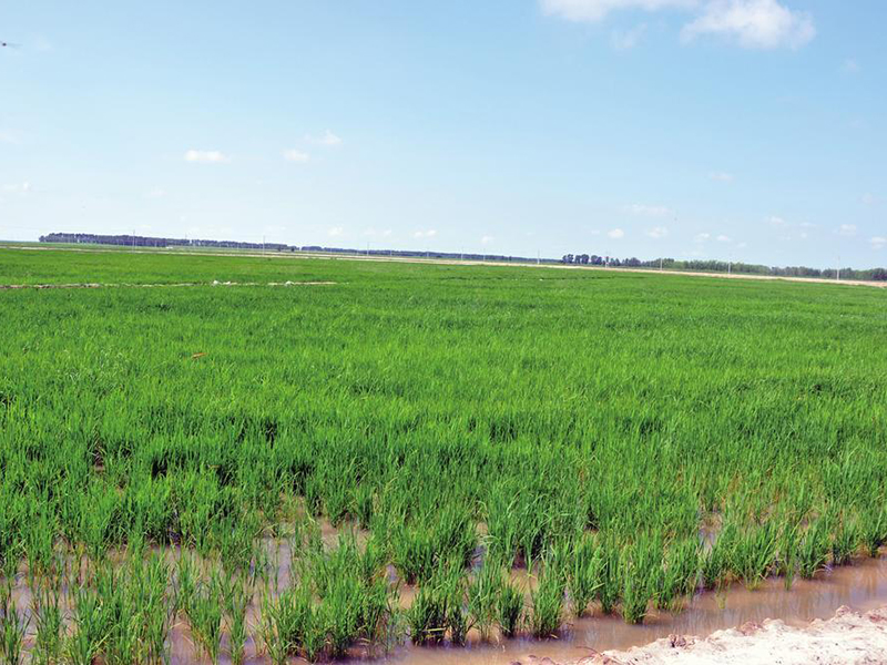 土壤養(yǎng)分快速檢測儀 13.jpg