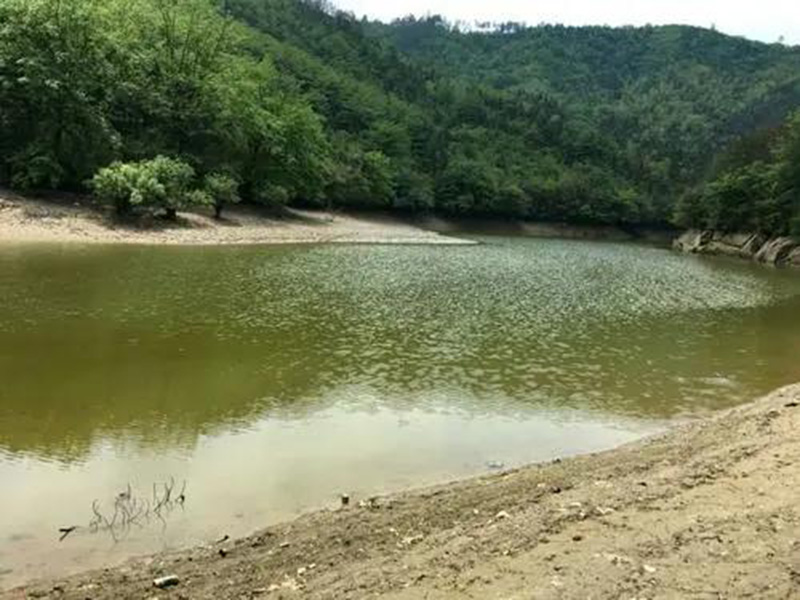 水產(chǎn)養(yǎng)殖檢測儀，為水源保護(hù)提供精準(zhǔn)數(shù)據(jù)