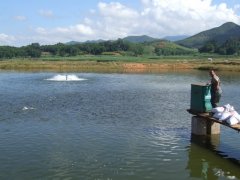 水產(chǎn)養(yǎng)殖檢測儀，為水產(chǎn)提供優(yōu)良的生長環(huán)境