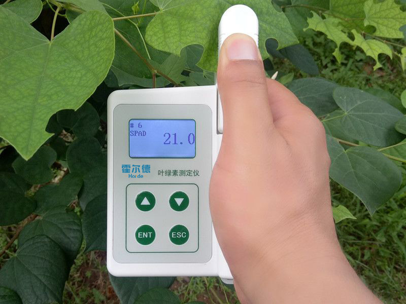 葉綠素含量測量儀，可用于植物施肥的依據(jù)